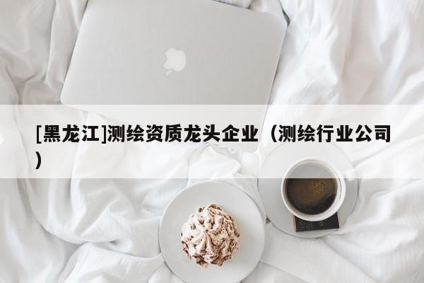 [黑龍江]測繪資質(zhì)龍頭企業(yè)（測繪行業(yè)公司）