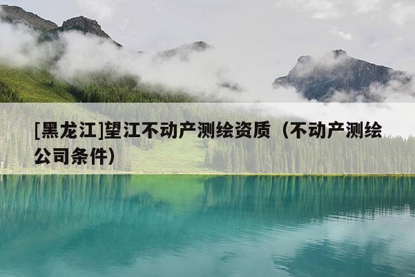[黑龍江]望江不動(dòng)產(chǎn)測(cè)繪資質(zhì)（不動(dòng)產(chǎn)測(cè)繪公司條件）