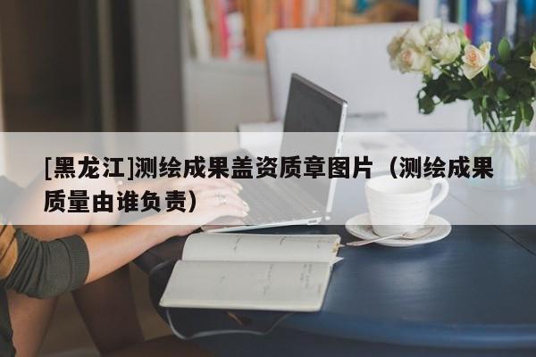 [黑龍江]測繪成果蓋資質(zhì)章圖片（測繪成果質(zhì)量由誰負(fù)責(zé)）